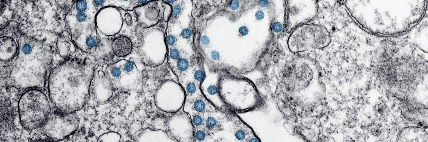 Nature's Wild Secrets: Stuff You Thought You Knew, But Didn't