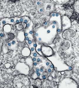 Nature's Wild Secrets: Stuff You Thought You Knew, But Didn't