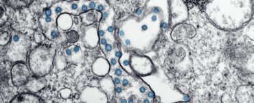 Nature's Wild Secrets: Stuff You Thought You Knew, But Didn't