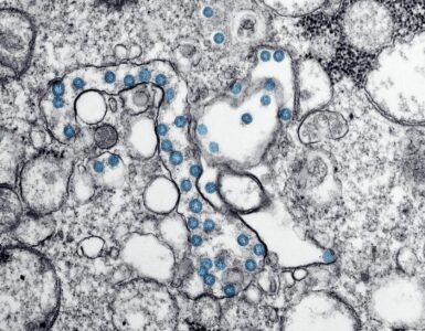 Nature's Wild Secrets: Stuff You Thought You Knew, But Didn't