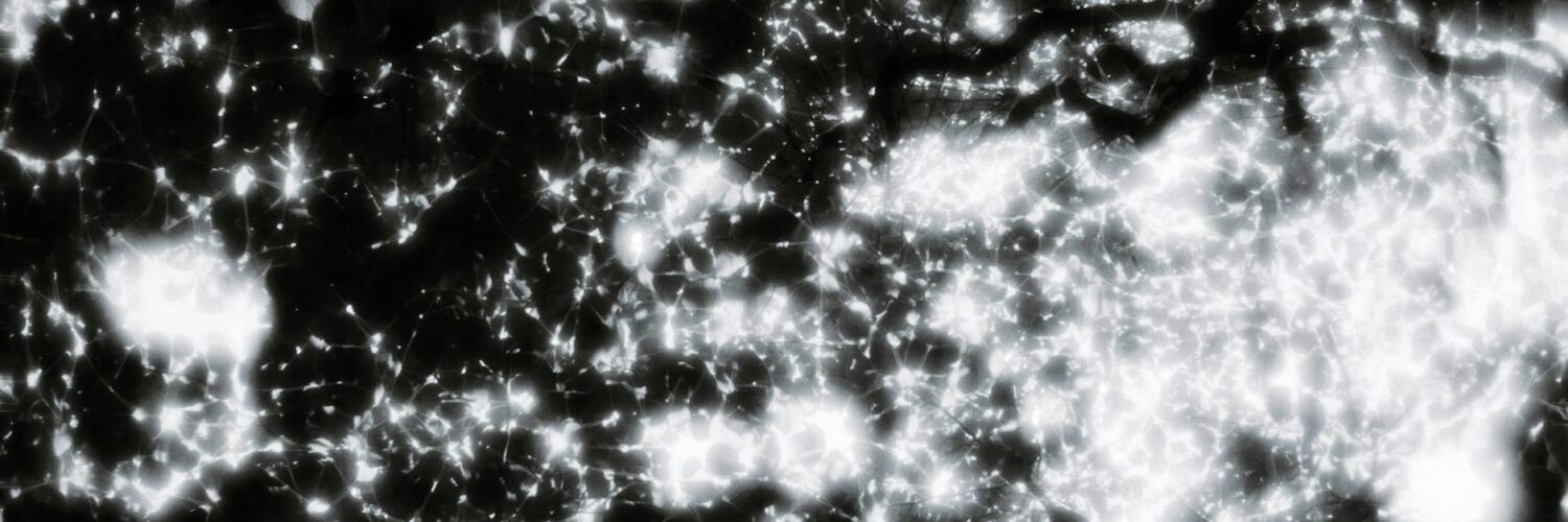 The Everyday Magic: Science and Tech You're Probably Not Thinking About