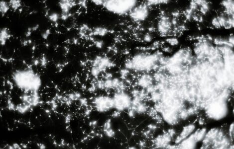 The Everyday Magic: Science and Tech You're Probably Not Thinking About