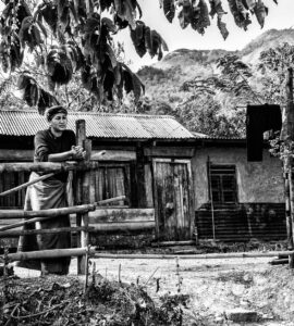 History's Odd Socks: Uncovering the Unexpected in Everyday Dates