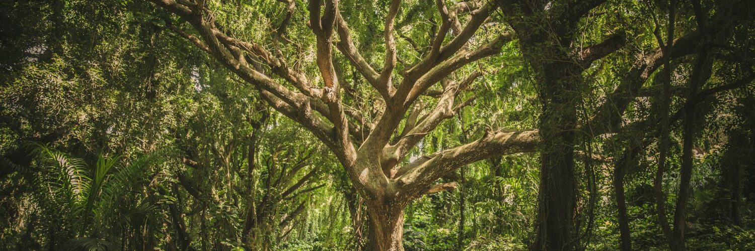 Nature's Playground: Earth's Wildest Wonders and Facts That'll Make You Go "Huh?"