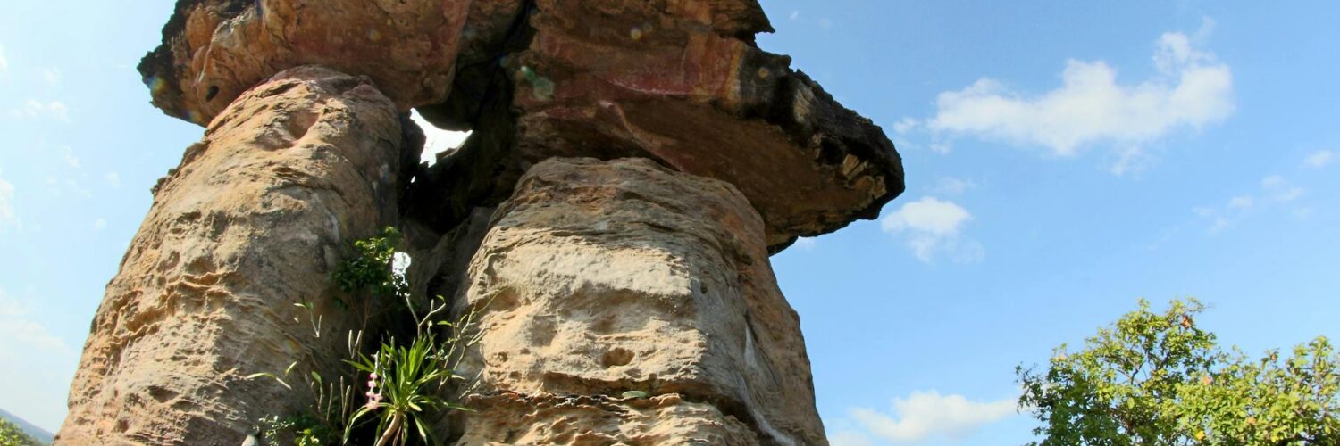 Nature's Wildest Surprises: What You Think You Know Is Probably Wrong