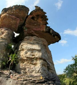 Nature's Wildest Surprises: What You Think You Know Is Probably Wrong