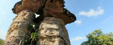 Nature's Wildest Surprises: What You Think You Know Is Probably Wrong