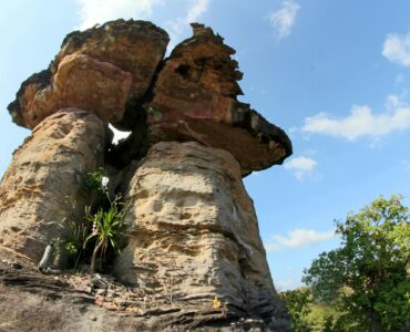 Nature's Wildest Surprises: What You Think You Know Is Probably Wrong