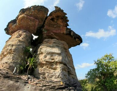 Nature's Wildest Surprises: What You Think You Know Is Probably Wrong