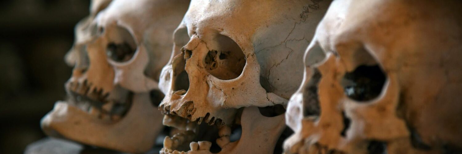 The Wild Unexpected: Nature's Greatest Tricks & Truths