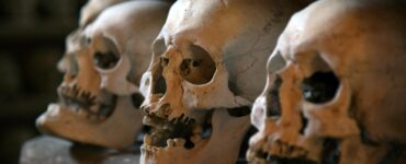 The Wild Unexpected: Nature's Greatest Tricks & Truths