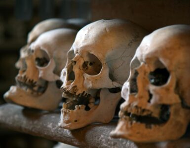 The Wild Unexpected: Nature's Greatest Tricks & Truths