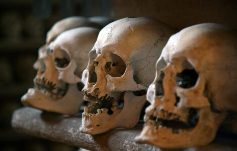 The Wild Unexpected: Nature's Greatest Tricks & Truths