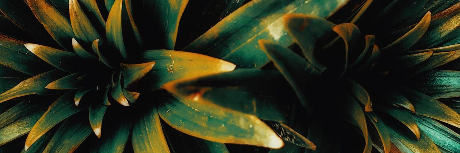 Nature's Unexpected Twist: What You Thought You Knew About the Wild Might Be Wrong