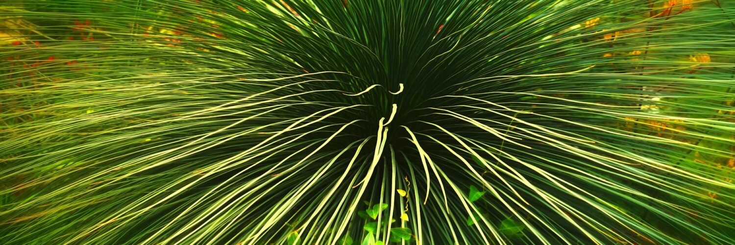 Nature's Wildly Wacky World: Stuff You Think You Know, But Don't!