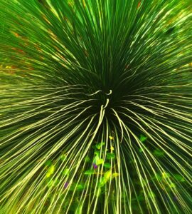 Nature's Wildly Wacky World: Stuff You Think You Know, But Don't!