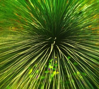 Nature's Wildly Wacky World: Stuff You Think You Know, But Don't!