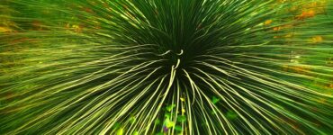 Nature's Wildly Wacky World: Stuff You Think You Know, But Don't!