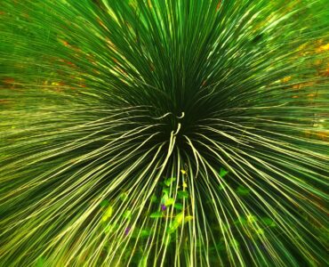 Nature's Wildly Wacky World: Stuff You Think You Know, But Don't!