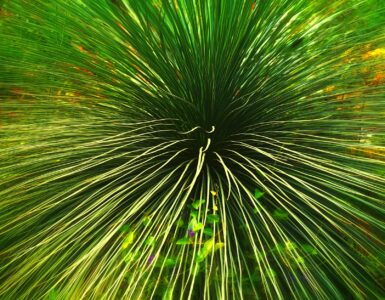 Nature's Wildly Wacky World: Stuff You Think You Know, But Don't!