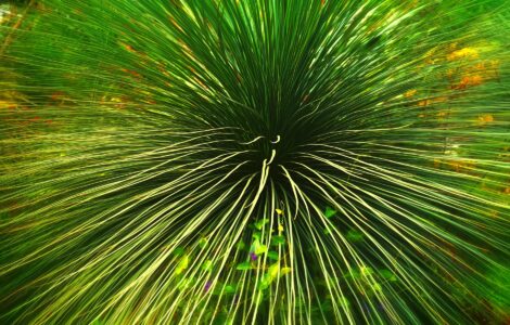 Nature's Wildly Wacky World: Stuff You Think You Know, But Don't!