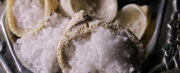 The Unexpected Ordinary: A Dive Into Everyday Astonishments and Hidden Connections