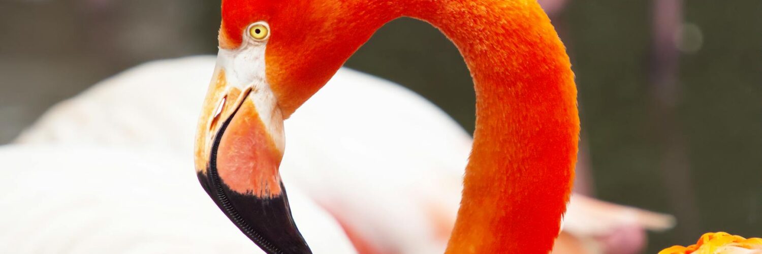 Nature's Unwritten Rules: Wild Facts That'll Make You Say "Wait, What?"