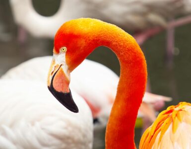 Nature's Unwritten Rules: Wild Facts That'll Make You Say "Wait, What?"