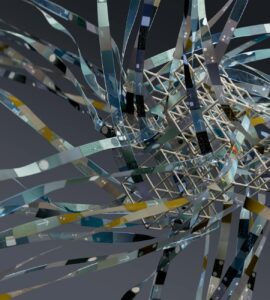 The Everyday Mind: Surprising Patterns in How We Think, Feel, and Act