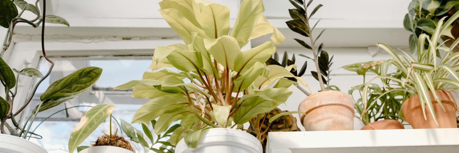 Your Everyday Body: Surprising Health Secrets Hiding in Plain Sight