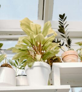 Your Everyday Body: Surprising Health Secrets Hiding in Plain Sight