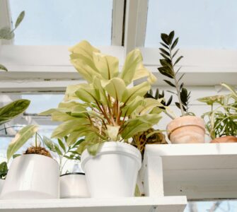 Your Everyday Body: Surprising Health Secrets Hiding in Plain Sight