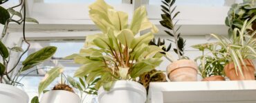 Your Everyday Body: Surprising Health Secrets Hiding in Plain Sight