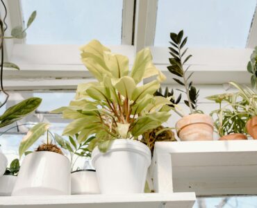 Your Everyday Body: Surprising Health Secrets Hiding in Plain Sight