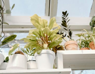 Your Everyday Body: Surprising Health Secrets Hiding in Plain Sight